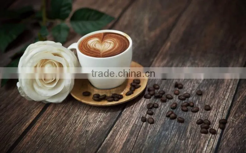 High quality foaming non dairy coffee creamer