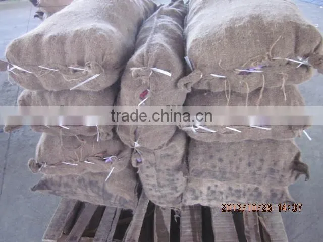 price chestnuts of 2013