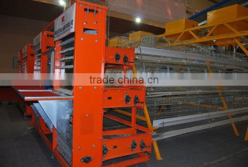 egg collecting machine for chicken farm