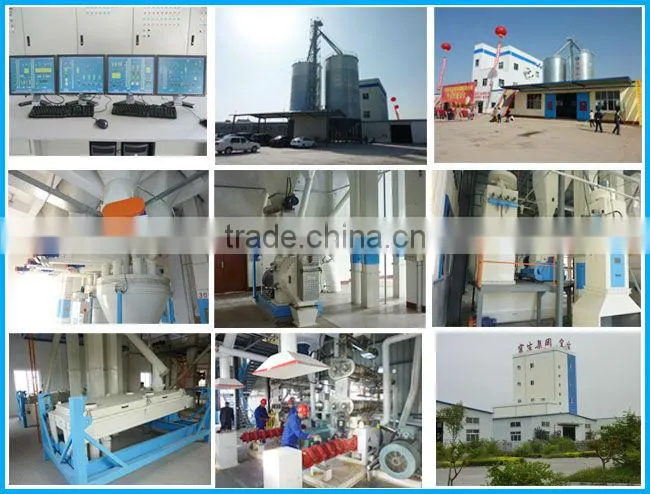 New Type Special Designed Single Screw Feed Extruder With Imported Bearings