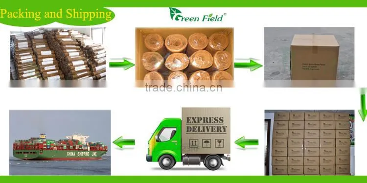 Anti slip coir matting rolls,home coir matting rolls