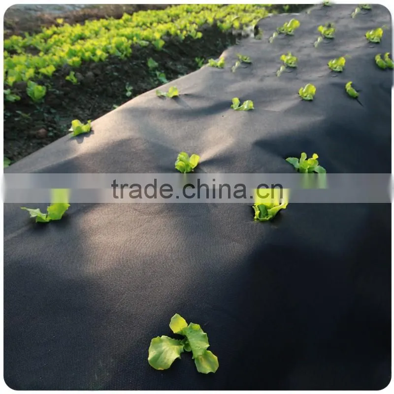 kangda pp non woven