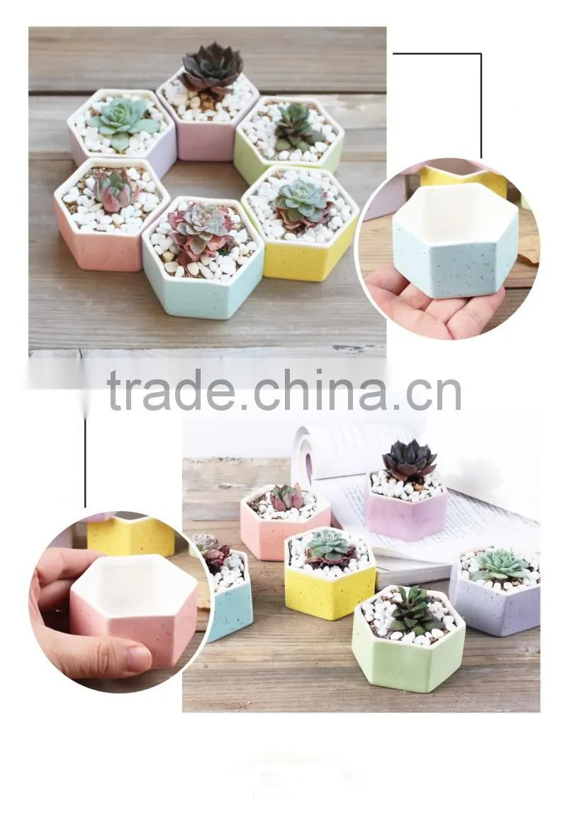 Hot sale rainbow hexagon flower pot ceramic for planter