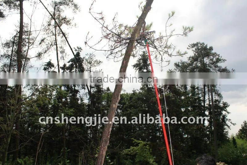 pole tree pruner