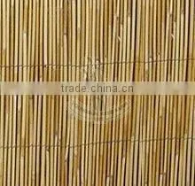 reed fencing screening