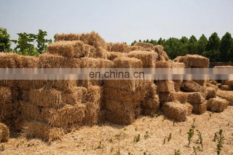 High Efficiency Waste Paper/Plastic Bottles/Cloth Compress Baler Machine