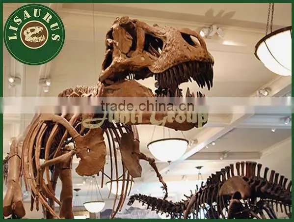 Lisaurus-I dinosaur skull head dinosaur skull puzzle for dino park theme park dinosaur skeleton puzzles