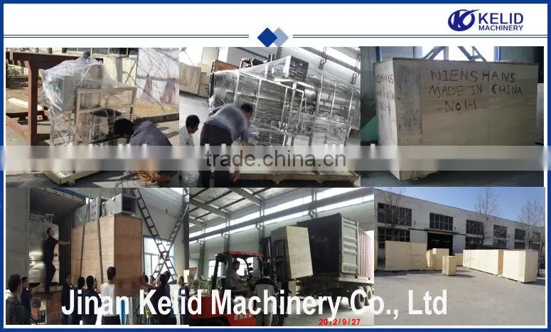 CE Certificate Industrial pasta extruder