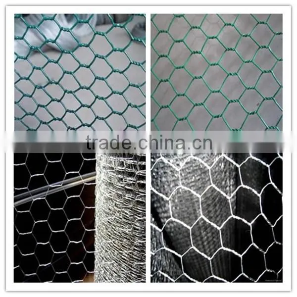 Lowest price galvanized chicken wire mesh(China manufacturer)