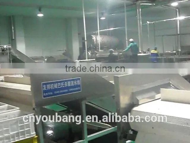 Pouch sterilization machine