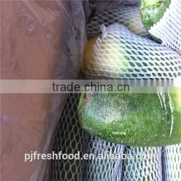 White Radish /green radish wholsale