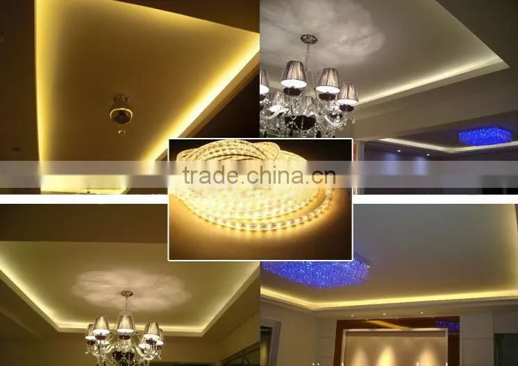 120V/240V 60 Led/m RGB Flexible SMD 5050 LED Strip Light with Flash bulb