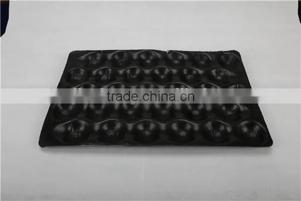 PS Plastic Fruit Tray