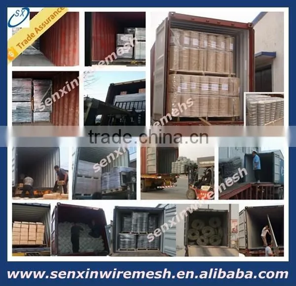 china anping factory india market popular 12.7mmX12.7mmX3FTX10M 6kg/8kg pvc coated welded wire