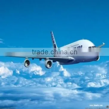 Best shipping agent offer seafreight airfreight to Sokhna of Egypt from China Shenzhen Guangzhou Shanghai
