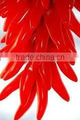 100% Pure & Natural Capsicum Oleoresin GMP / ISO