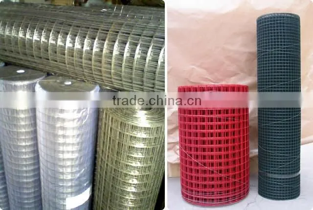 Electronic Galvanized Welded Wire Mesh