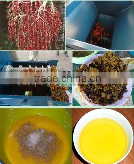 Top quality palm fruit oil processing machine