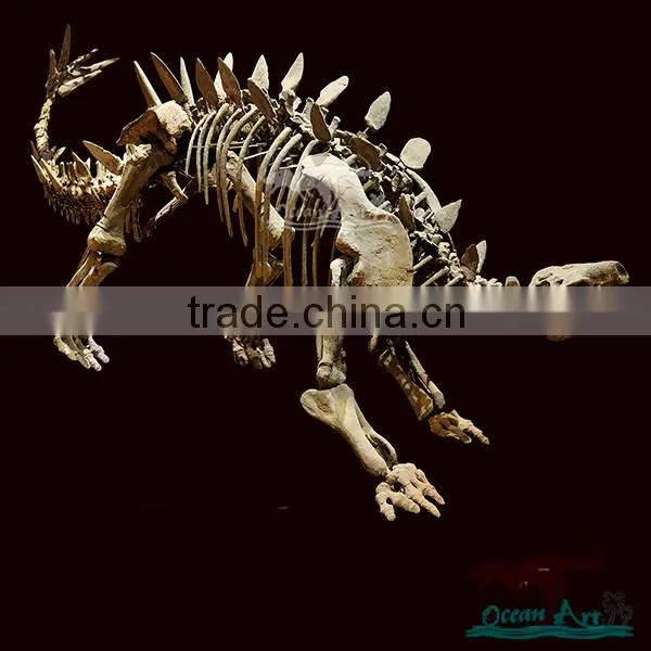 OA3147 Museum Life-size Dinosaur Fossil Replica