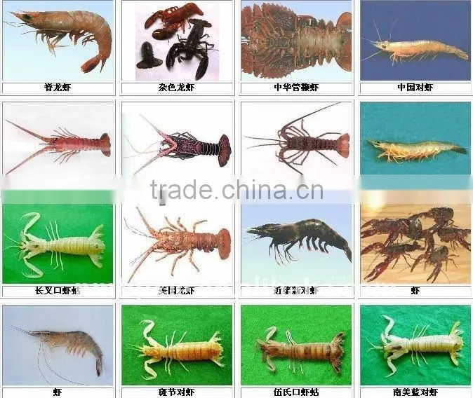 large output fish meal machine/fish powder machine/fish meal plant with factory price 0086 15037190623