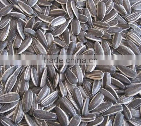 wholesale sunflower seeds 5009 for human consumption