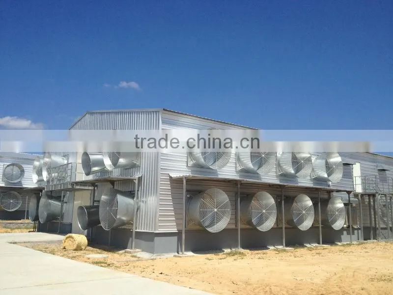 broiler chick shed equipment