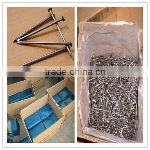 common iron round flat head nail
