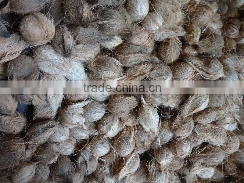 Organic Coconuts Exporter
