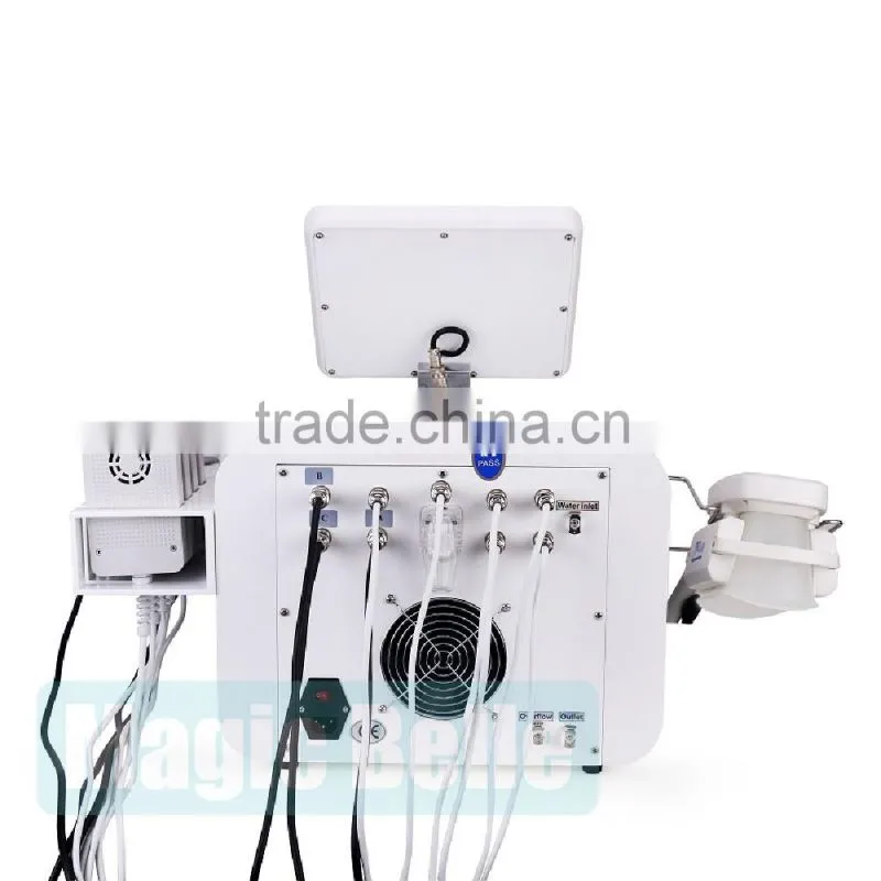 Multifunctional Cryolipolysis Device!!! Laser/RF/40K Cavitation Cryolipolysis Machine for Home Use