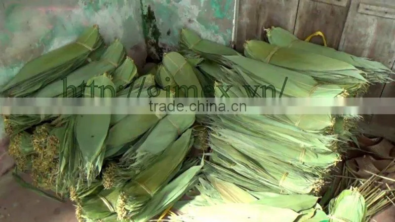 Bamboo leaves