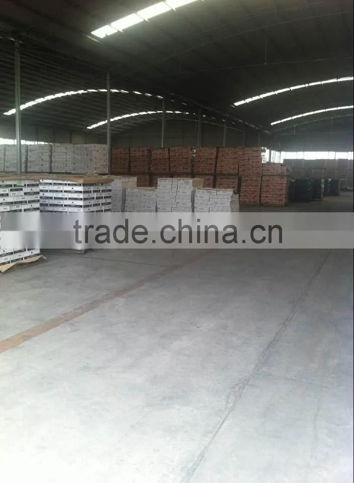 tomato paste 198g with easy open or normal open lid tomato paste brands