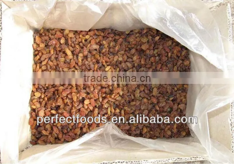 dried fruit raisin sultana