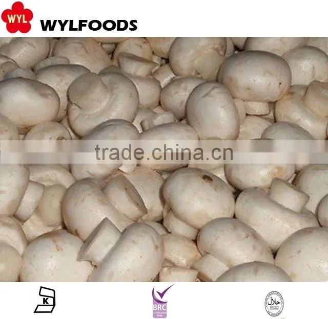 IQF china price for frozen Champignons whole 2015 high quality