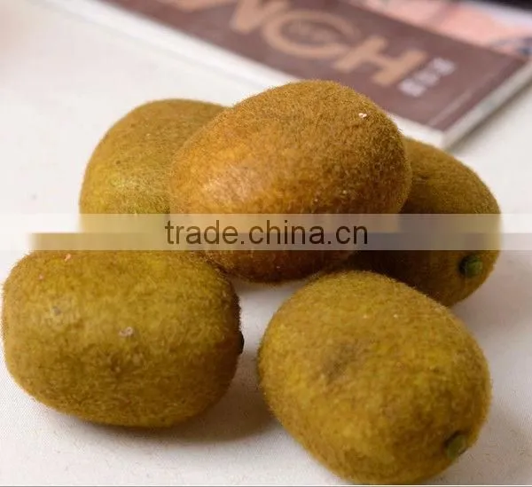 Artificial Vegetable Tomato