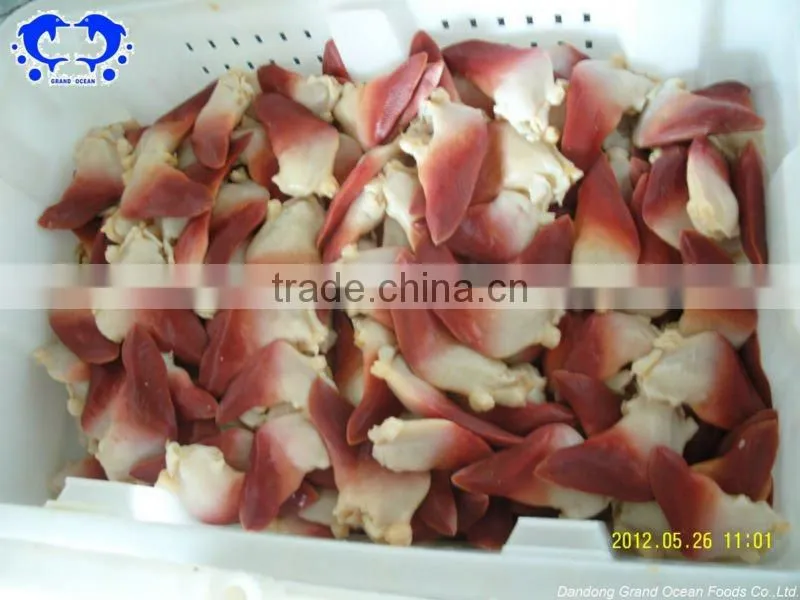 horse clam foot