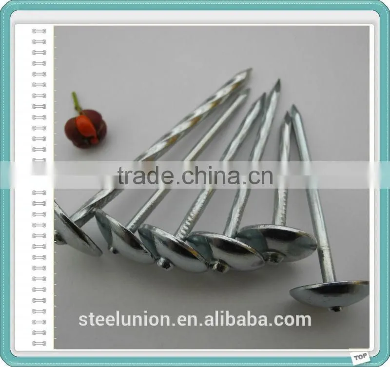 roofing nails/roofing nail supplies