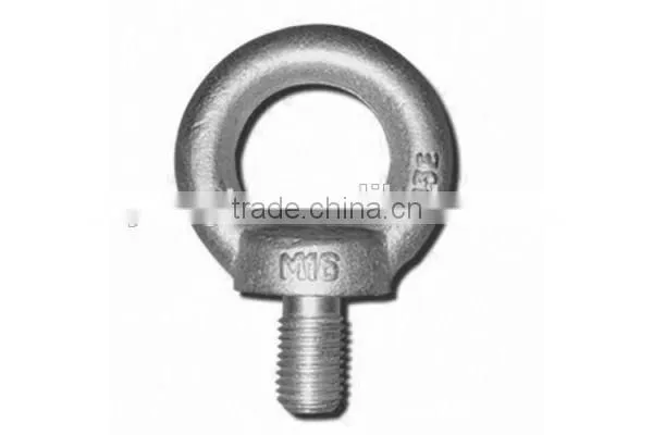 Carbon Steel Lifting Eye China Bolts Nuts