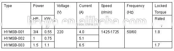 Explosion Proof Motor