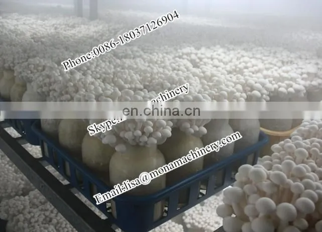 See larger image Factory price Automatic Fungus Mushroom growing bag filling machine