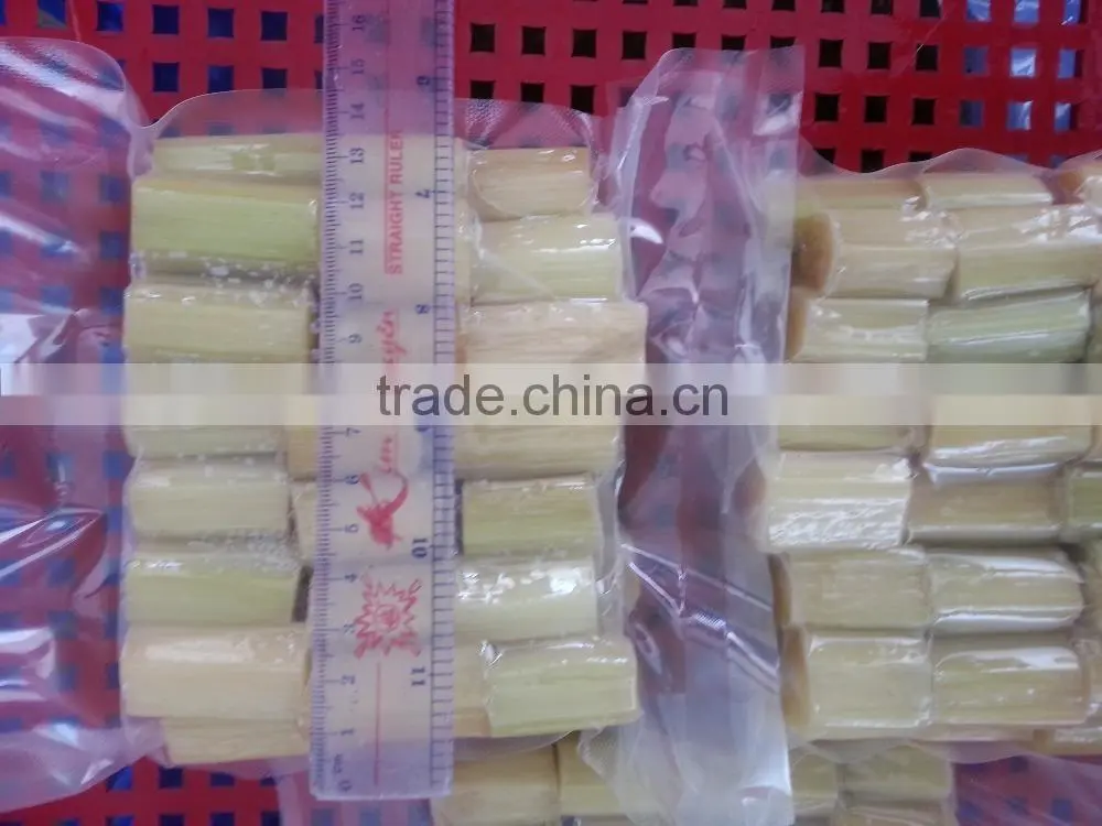 Fresh Sweet Sugarcane from Vietnam/ Sweet Cane Sugar