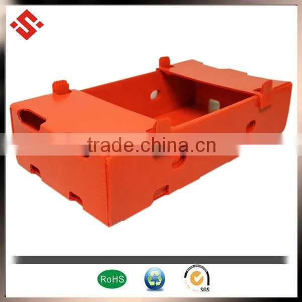 2015 corrugated PP plastic vegetable tray