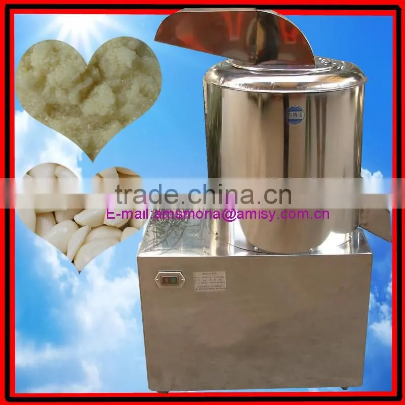 Stainless Steel Garlic Paste Grinding Machine|Large Model Mashed Garlic Making Machine