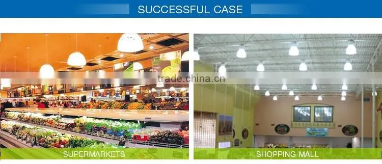 Factory direct sale professional energy saving induction market light
