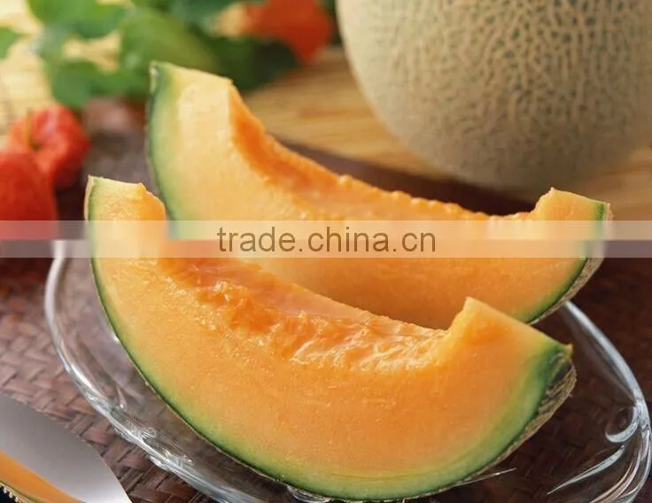 Fresh melon sweet melon price