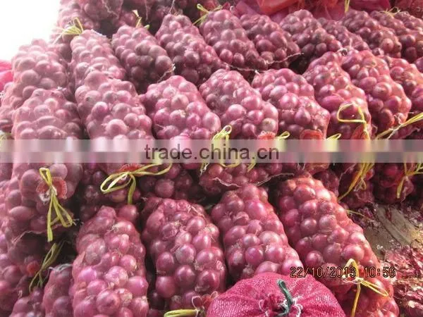 Fresh Red Onion