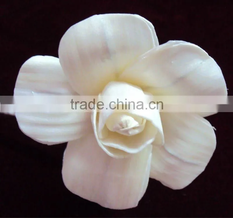 Sola flower