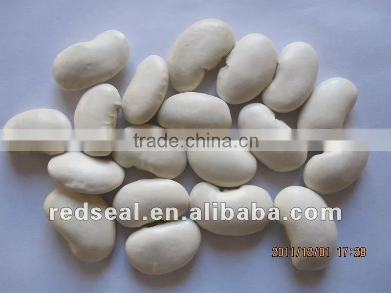 Low price large white kidney beans