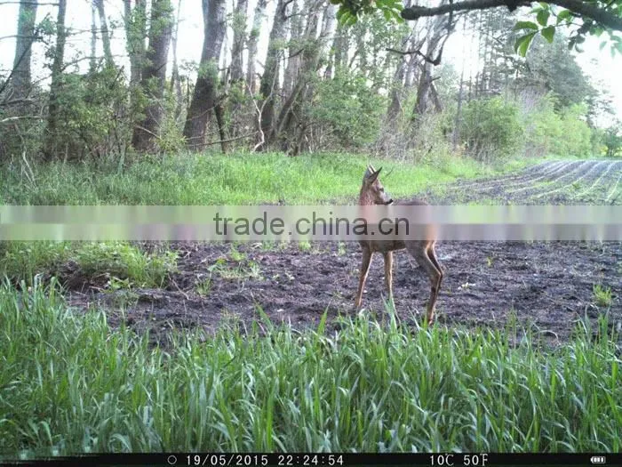 Waterproof PIR Motion Tracking Night Vision IR Scouting Hunting Camera