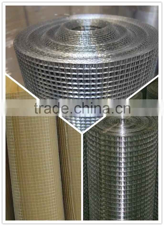galvanized welded wire mesh roll