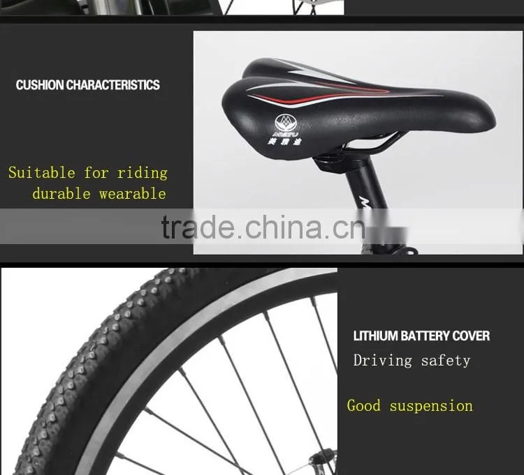 500W 48V/10AH electric bicycle,electric bicycle motor